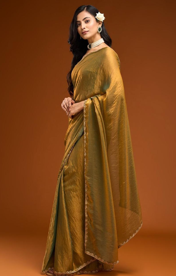 Golden Glaze Organza Saree